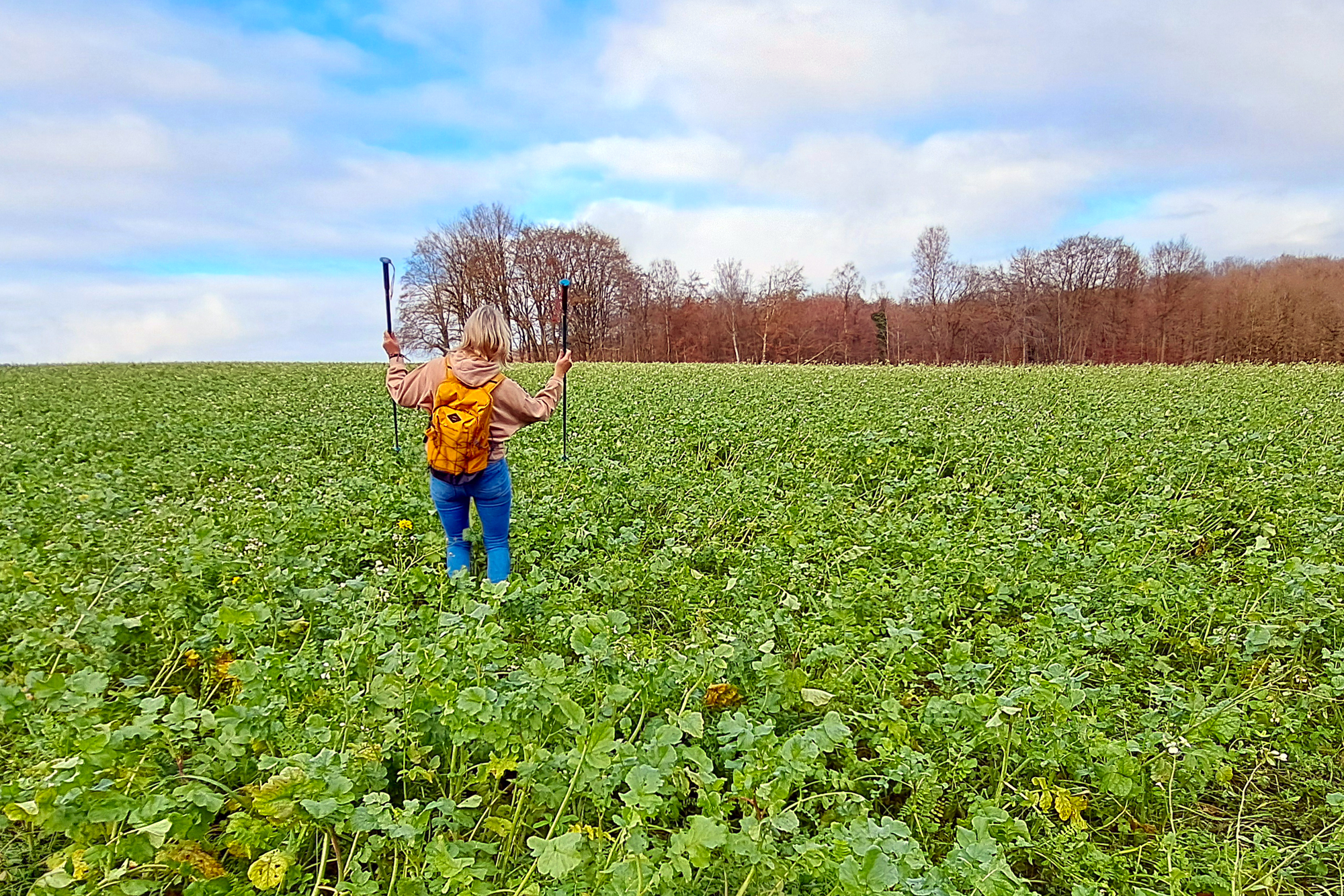 Gezondheidscoaching in de natuur: samen wandelen voor meer balans en energie.