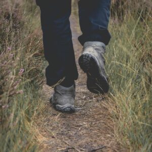 Speciaal wandelweekend voor vrouwen met natuurvoedingsadvies.