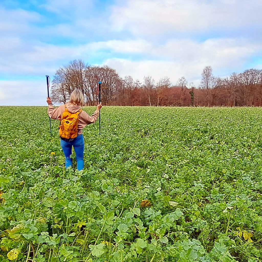 Gezondheidscoaching in de natuur: samen wandelen voor meer balans en energie.