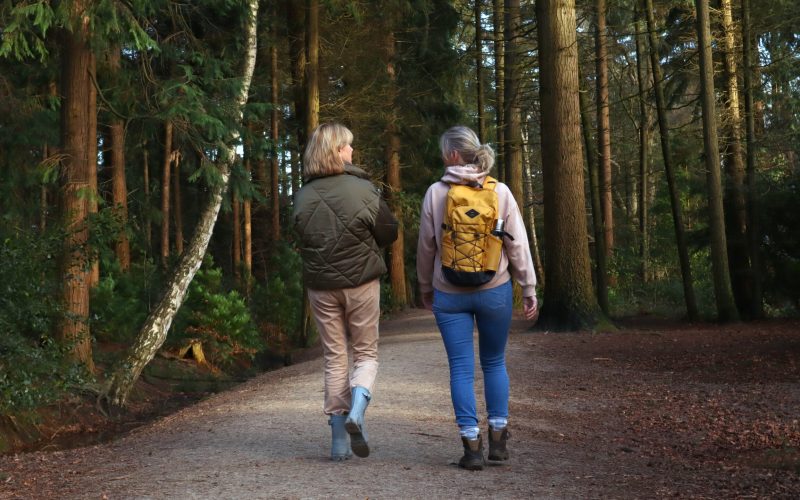 Verbeter je welzijn met persoonlijk voedingsadvies en wandelen.