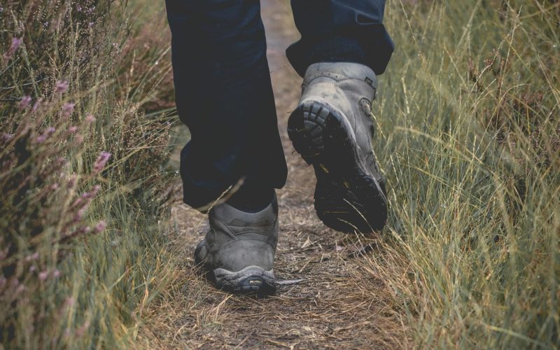 Speciaal wandelweekend voor vrouwen met natuurvoedingsadvies.