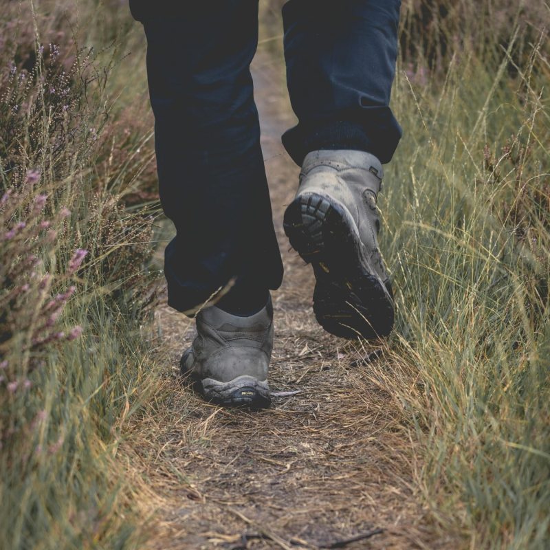 Speciaal wandelweekend voor vrouwen met natuurvoedingsadvies.
