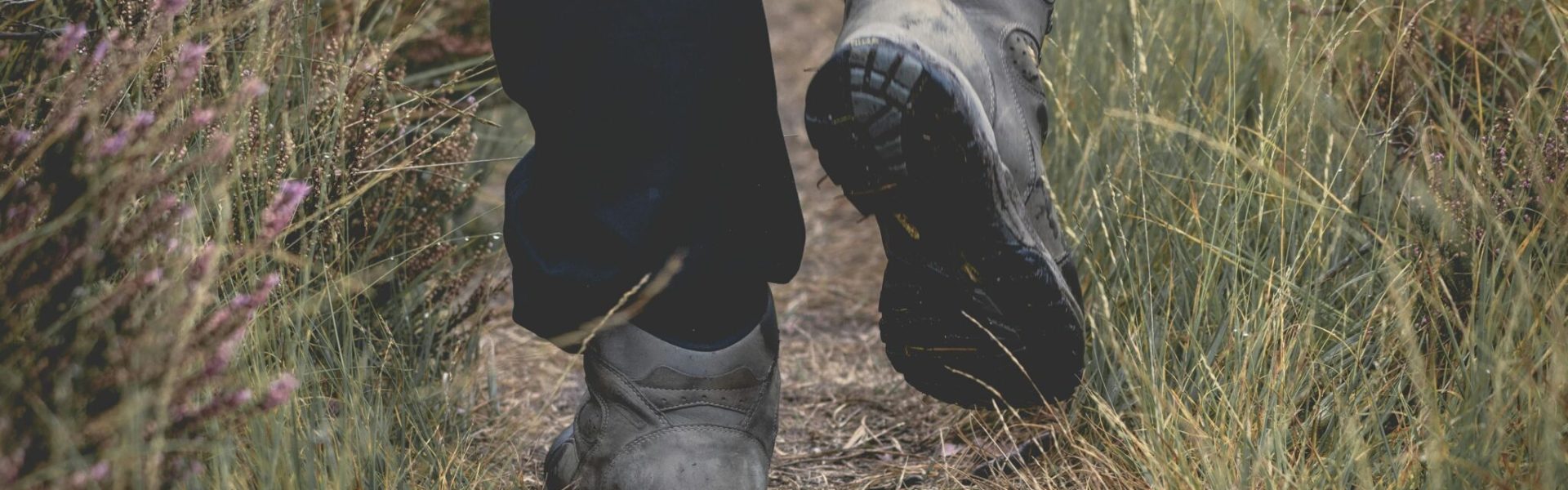 Speciaal wandelweekend voor vrouwen met natuurvoedingsadvies.